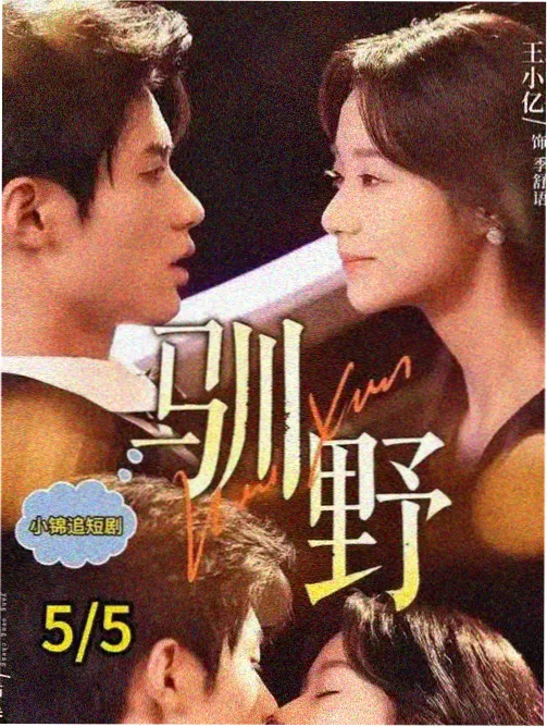 城墙下的春天 剧照
